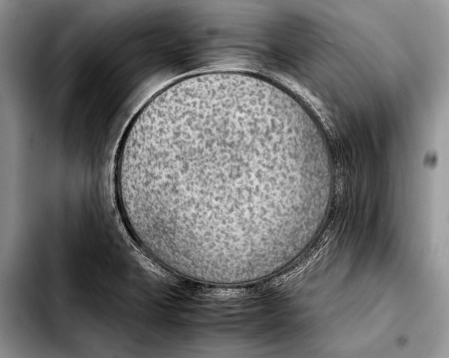 X0000103411423200810100946