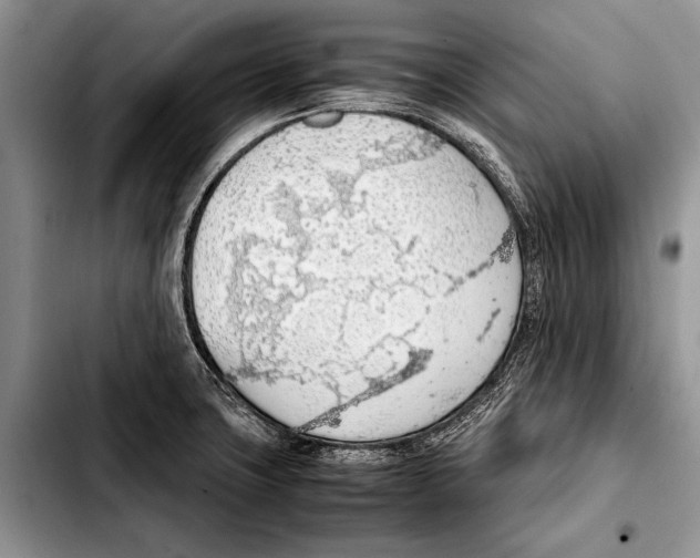 X0000103411427200810100946