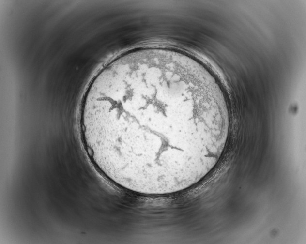 X0000103411429200810100946