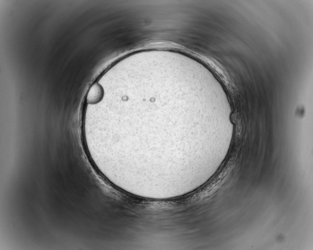 X0000103411430200810100946