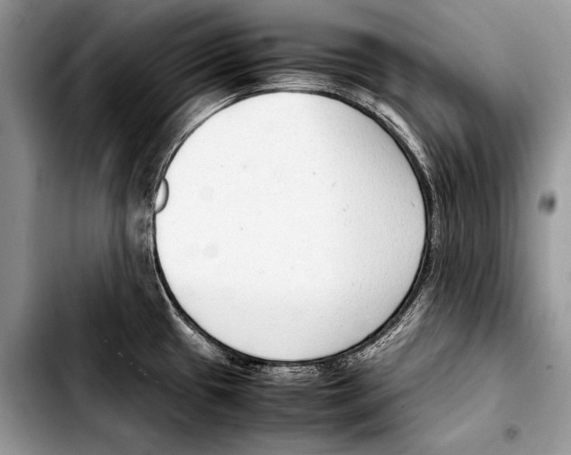 X0000103411433200810100946