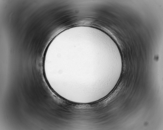 X0000103411434200810100946