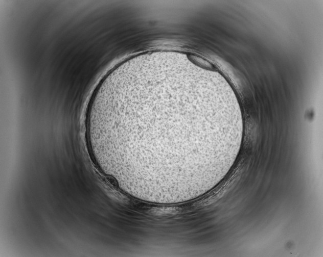 X0000103411435200810100946