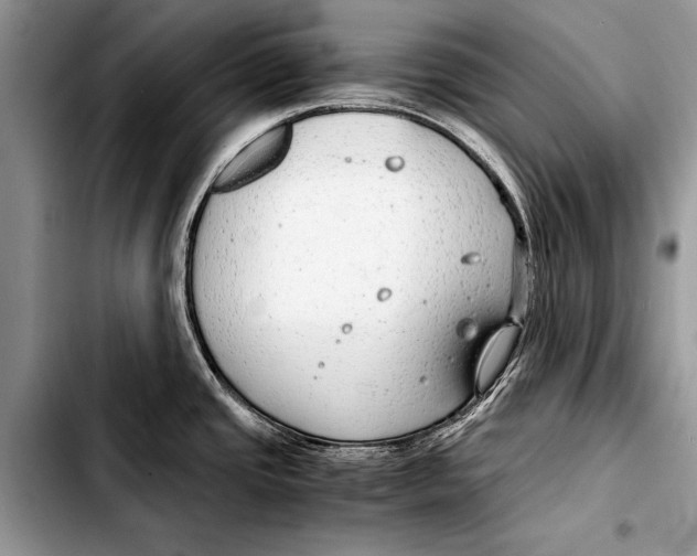 X0000103411437200810100946