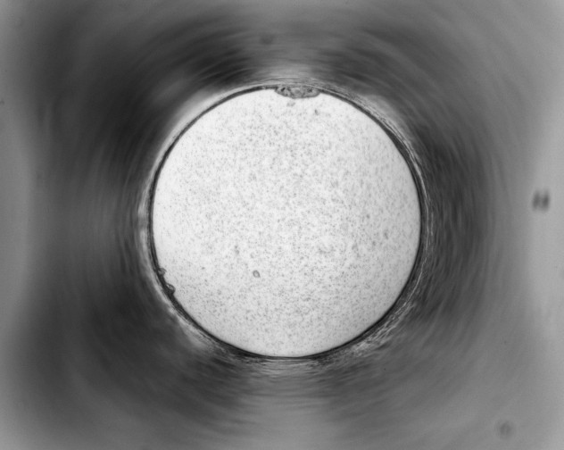 X0000103411440200810100946