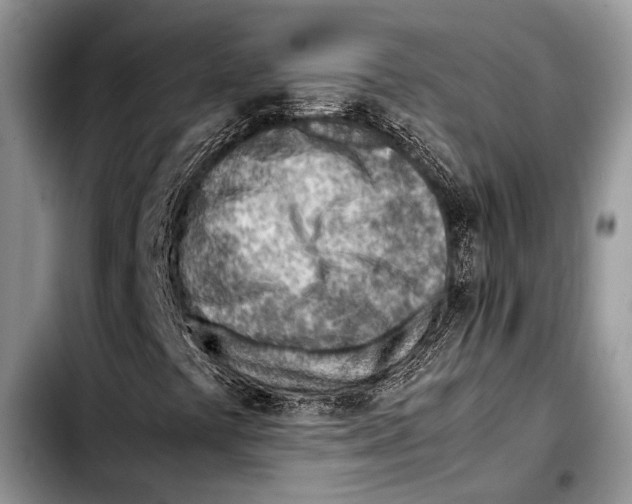 X0000103411441200810100946