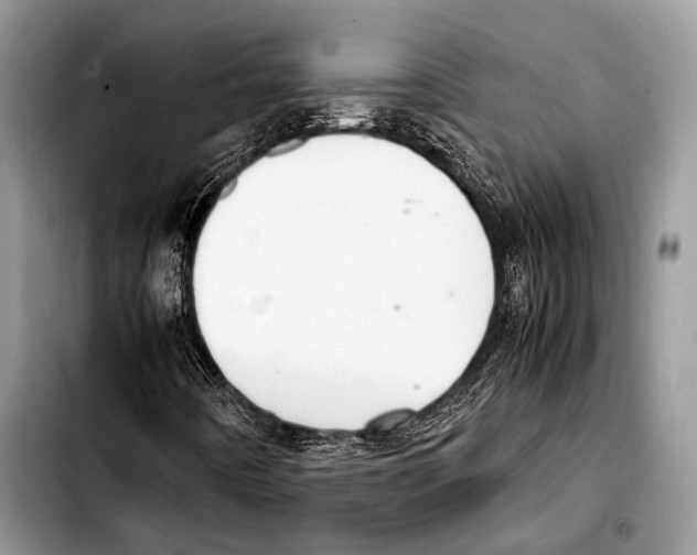 X0000103411442200810100946