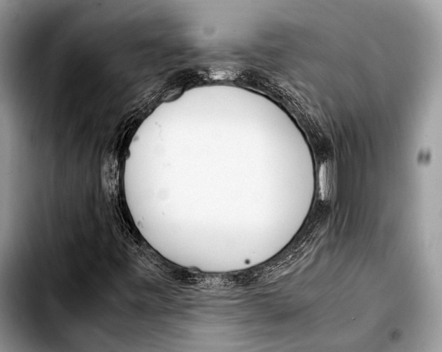 X0000103411443200810100946