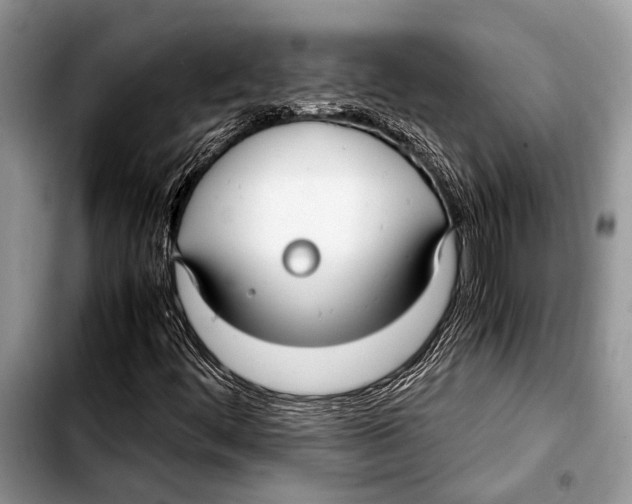 X0000103411444200810100946