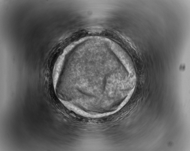 X0000103411445200810100946