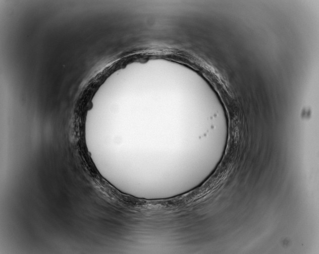 X0000103411448200810100946