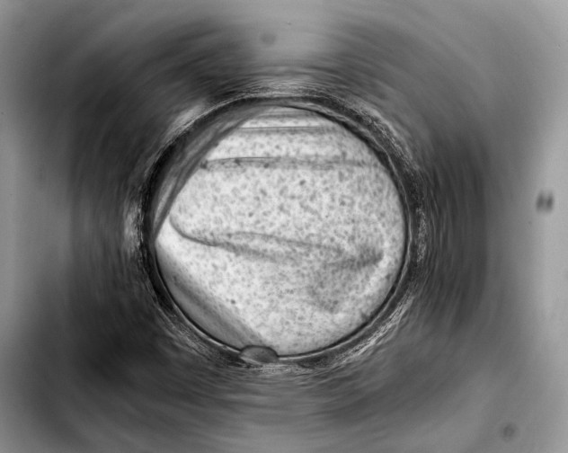 X0000103411449200810100946