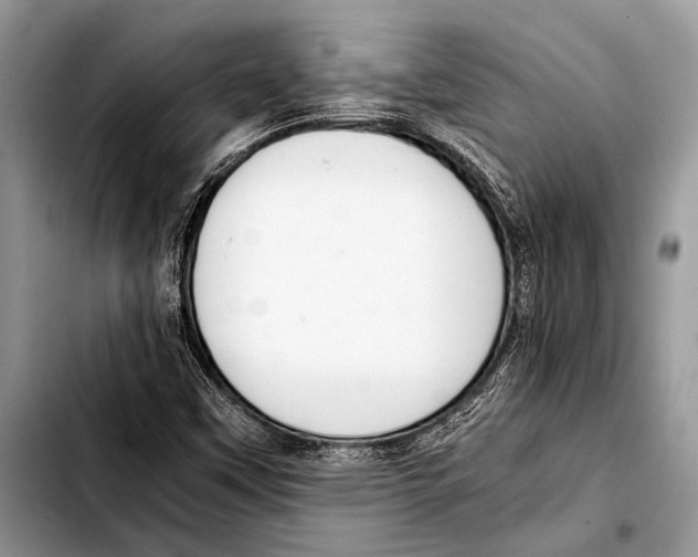 X0000103411451200810100946