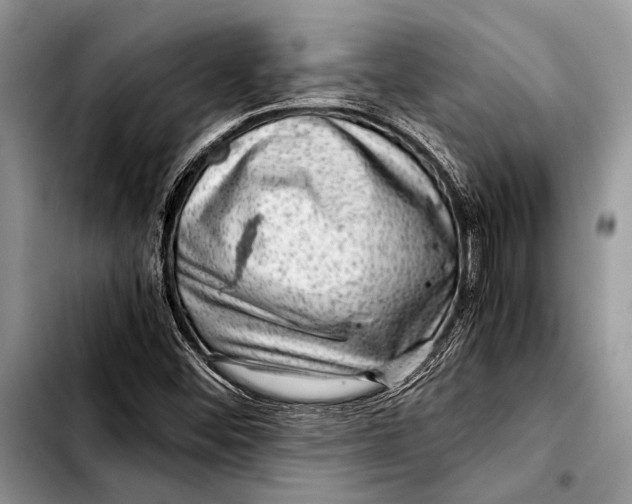 X0000103411452200810100946