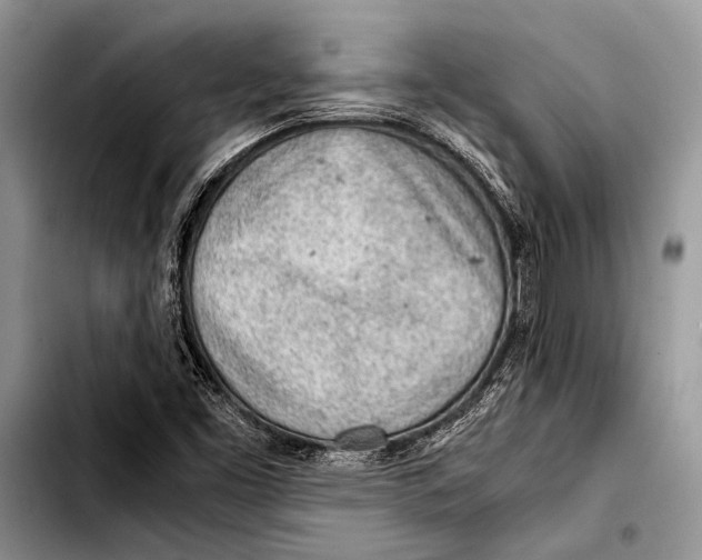 X0000103411453200810100946