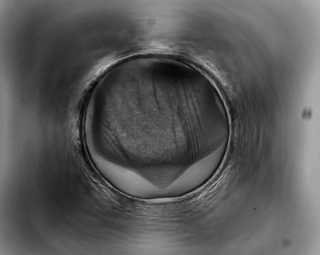 X0000103411455200810100946