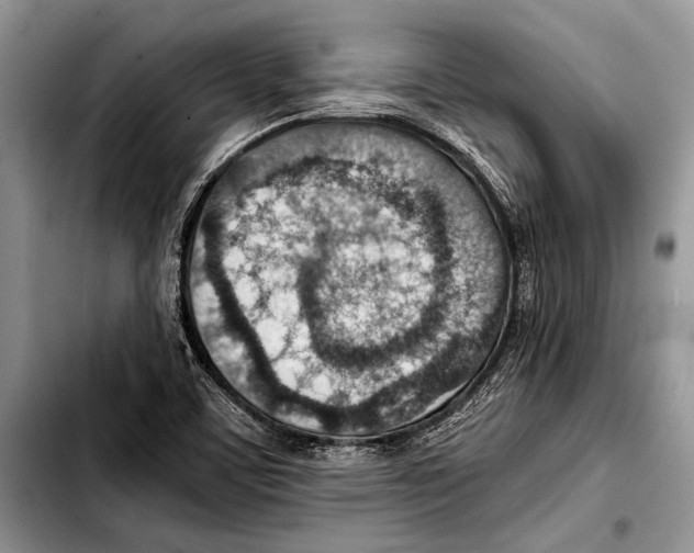 X0000103411459200810100946