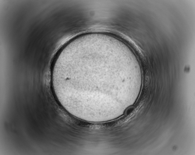 X0000103411461200810100945