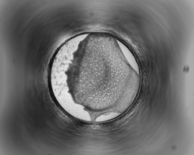 X0000103411463200810100945