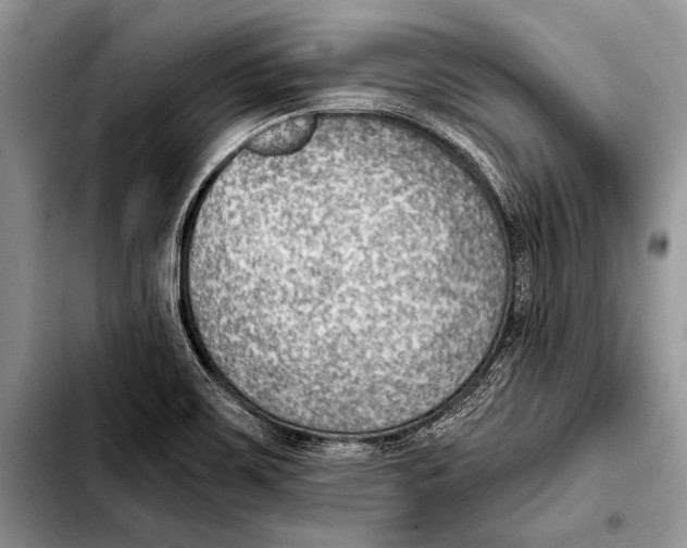 X0000103411467200810100945