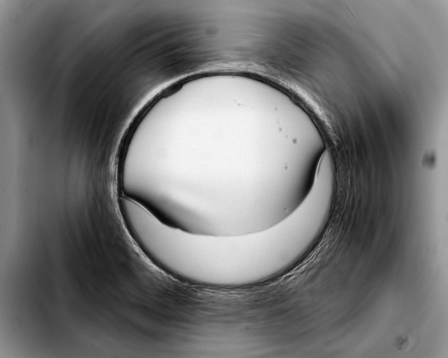 X0000103411468200810100945