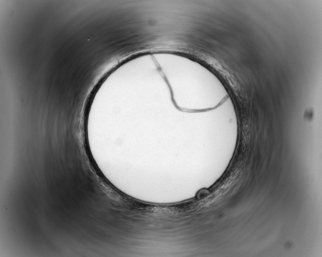 X0000103411469200810100945