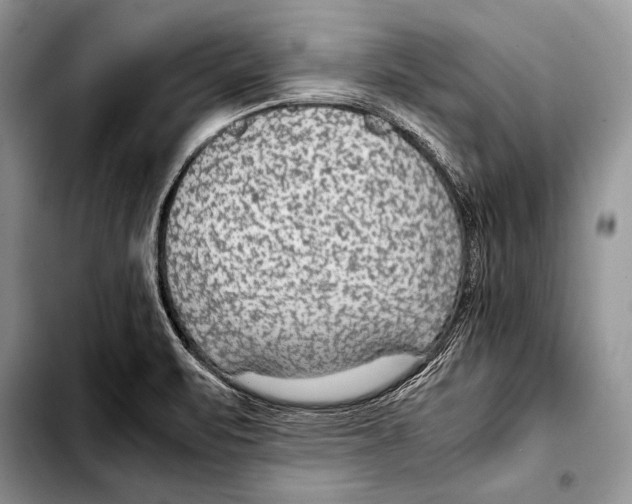 X0000103411471200810100945