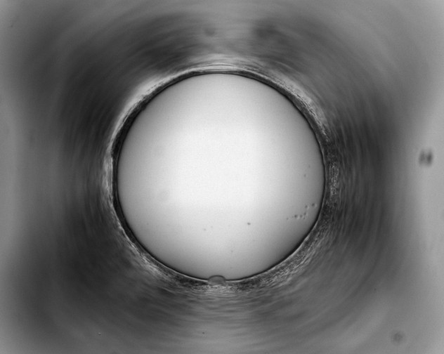 X0000103411472200810100945