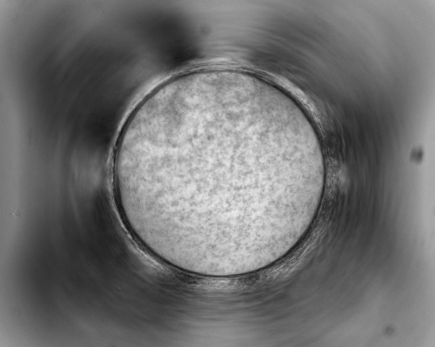 X0000103411474200810100945