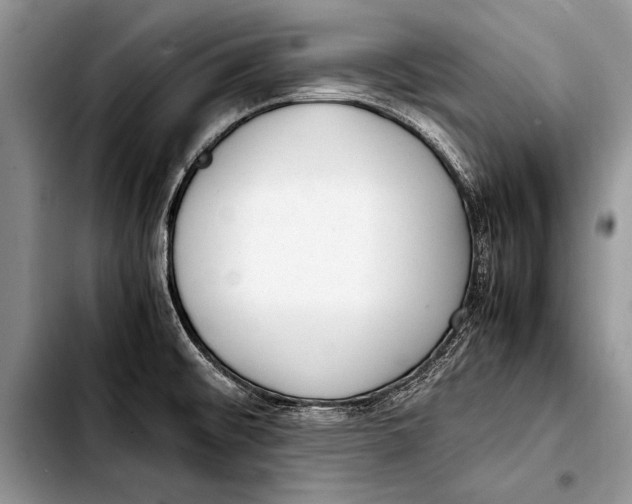 X0000103411476200810100945