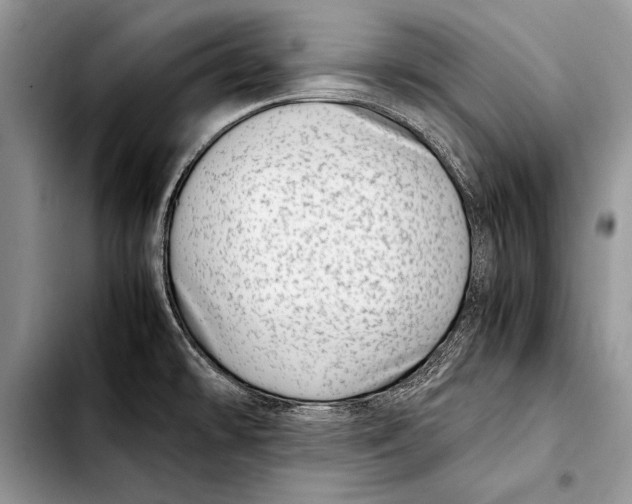 X0000103411478200810100945