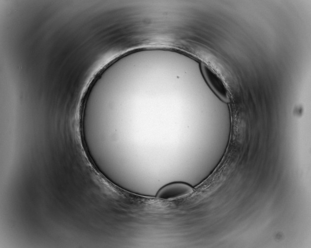 X0000103411480200810100945