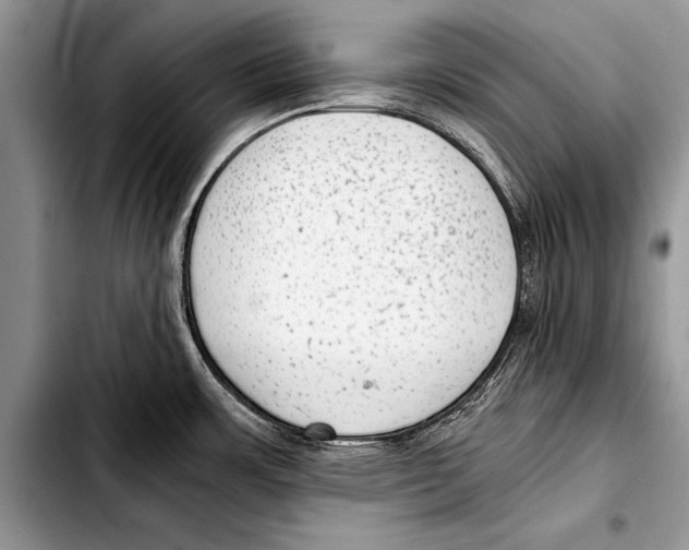 X0000103411483200810100945