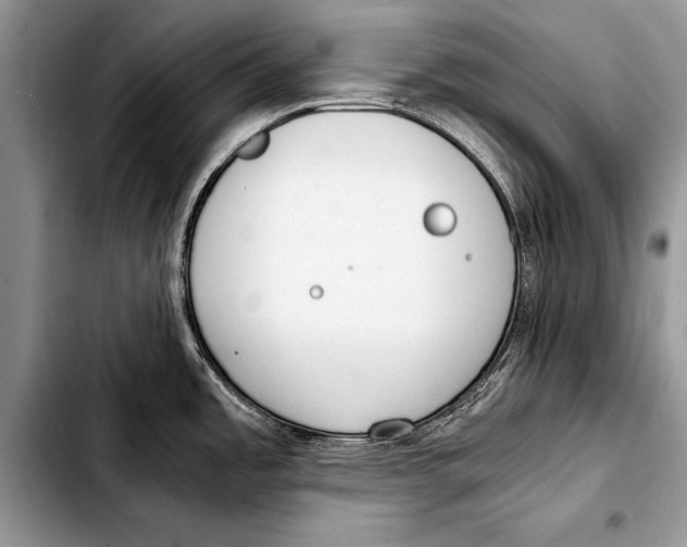 X0000103411485200810100945