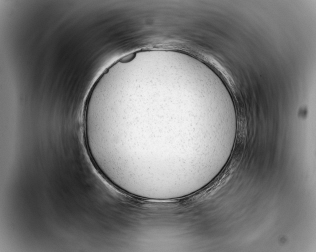 X0000103411487200810100945