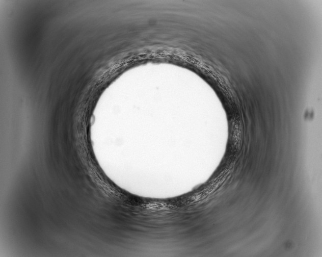 X0000103411489200810100944