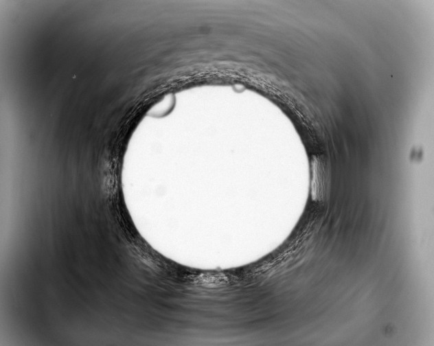 X0000103411491200810100944