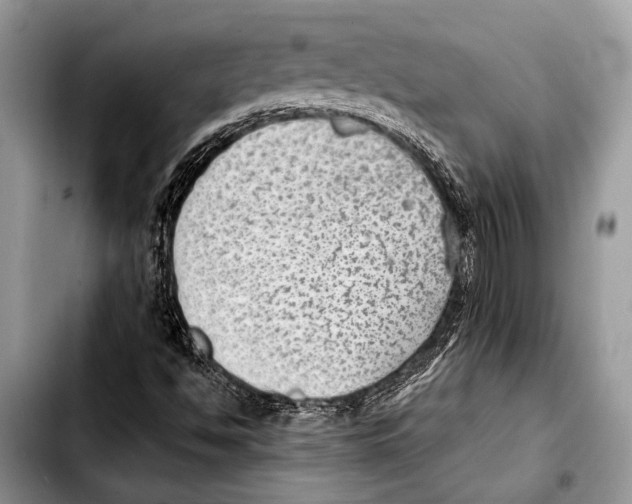 X0000103411494200810100944