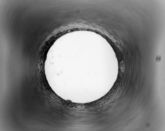 X0000103411495200810100944