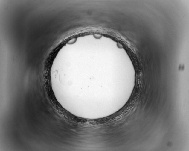 X0000103411496200810100944