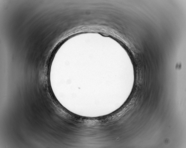 X0000103411498200810100944