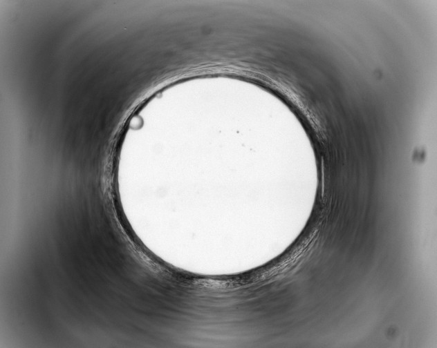 X0000103411500200810100944