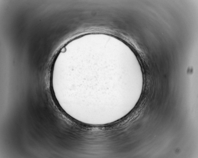 X0000103411504200810100944