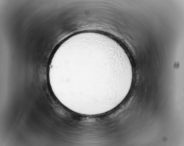 X0000103411505200810100944