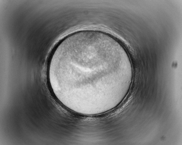 X0000103411506200810100945