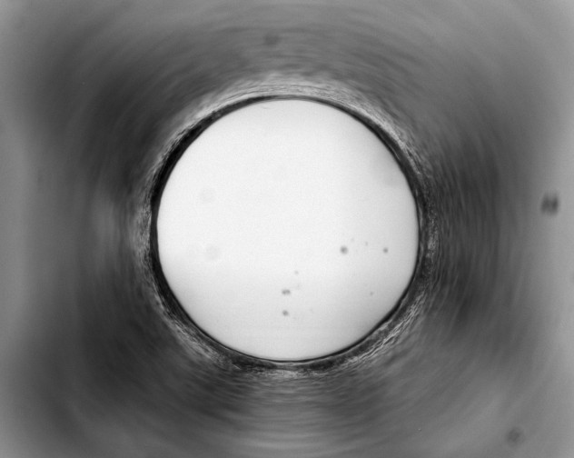 X0000103411507200810100945