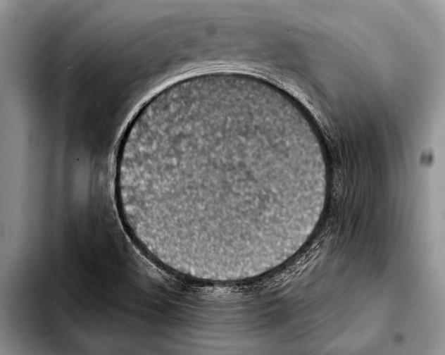 X0000103411508200810100945