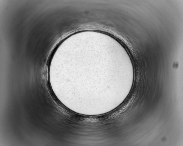 X0000103411509200810100945