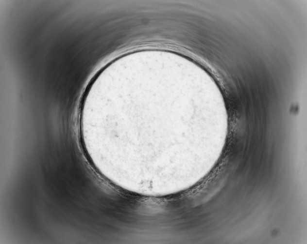 X0000103411514200810100945