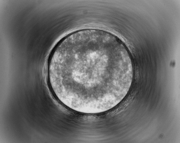 X0000103411515200810100945